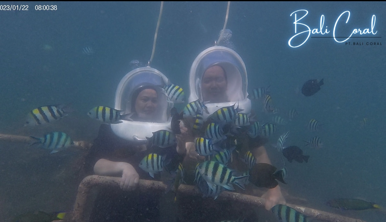Diving in Tanjung Benoa Non-Indonesian ID Holder by Bali Coral Dive & Water Sport